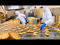 【ASMR】1日60000枚のラスク工場から絶品菓子パンまで！甘いもの特集 🍞