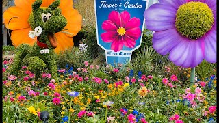 EN VIVO desde EPCOT - Festival de las Flores 💐 (2020)