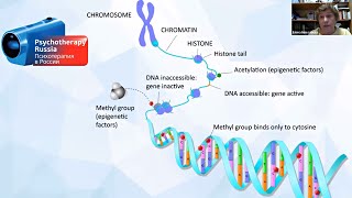 Эпигенетика: как методы воспитания закрывают гены. Елена Николаева.