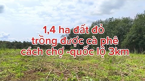 bán đất đỏ trồng cà phê sầu riêng 1,4 ha gần khu dân cư -vườn cà phê bất động sản đát rẫy