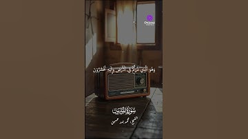 الشيخ محمد بدر حسين سورة المؤمنون