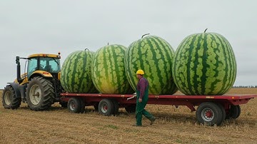 70 Expensive Agricultural Machines Working At Another Level!