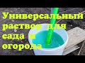 Срочно обработайте огород и сад до распускания почек, этим раствором! От болезней и вредителей!