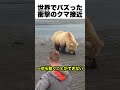 【🔥200万再生突破🔥】衝撃のクマ接近