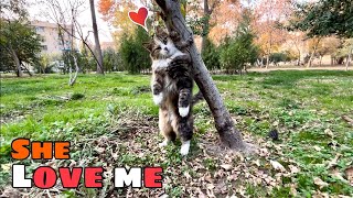 Cute fluffy Cat actually Love me, and rubs her head on my feet by Cats Land 997 views 4 months ago 6 minutes, 36 seconds