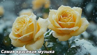 видео: Сборник лучших мелодий, от которых мурашки по коже🌿Лучшая музыка в мире🌿Музыка Сергея Грищука #4 картинка: Сборник лучших мелодий, от которых мурашки по коже🌿Лучшая музыка в мире🌿Музыка Сергея Грищука #4