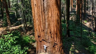 Avventure Nel Mondo Viaggio Farwest Breve Sequoia E Kings Canyon National Parks