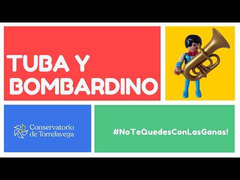 Vídeo: Diferencia Entre Bombardino Y Tuba