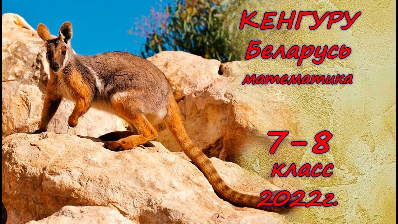 Кенгуру 7 8 классы ответы. Кенгуру» 2022 г.в., 7.78. Решение задач конкусрв игры кенгуру. Kangaroo Olympiad blank.