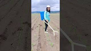 Rural Farmer #6932