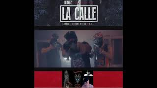 Darell Ft Bryant Myers, D Ozi, Bling Z- La Calle (Oficial Video)