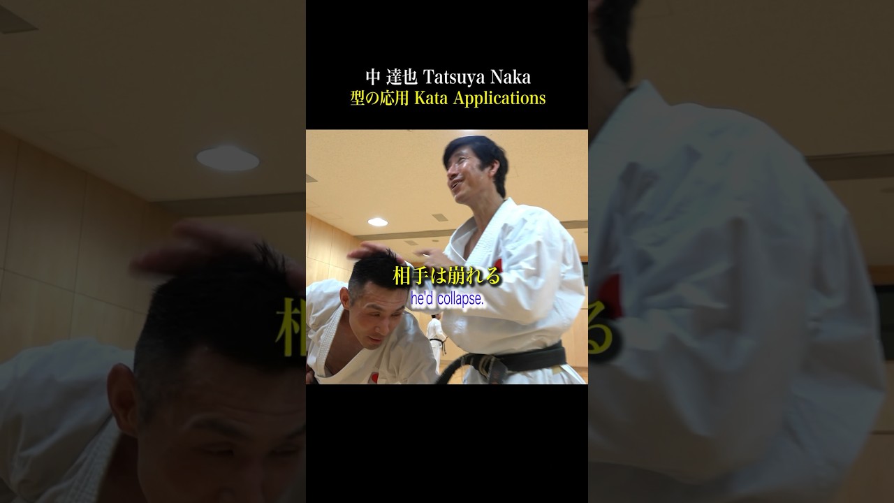 The karate master moves too fast Use the kata like this Tatsuya Naka