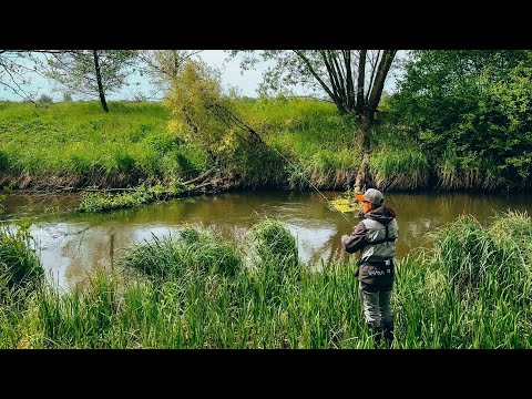 видео: Весняна Риболовля На РІЧЦІ - Щука Під Корчами Та В Траві