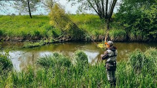 Весняна Риболовля На РІЧЦІ - Щука Під Корчами Та В Траві