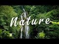 Relaxing Music With Nature ☘️ Stress Relief Music, Nature Music , Meditation , Zen