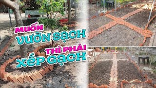 Xếp Hình một khu vườn rau sạch bằng Gạch không cần lên luống | Cách Trồng cây 02 | #MêGarden