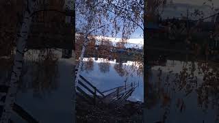 осінь в Мілєєво
