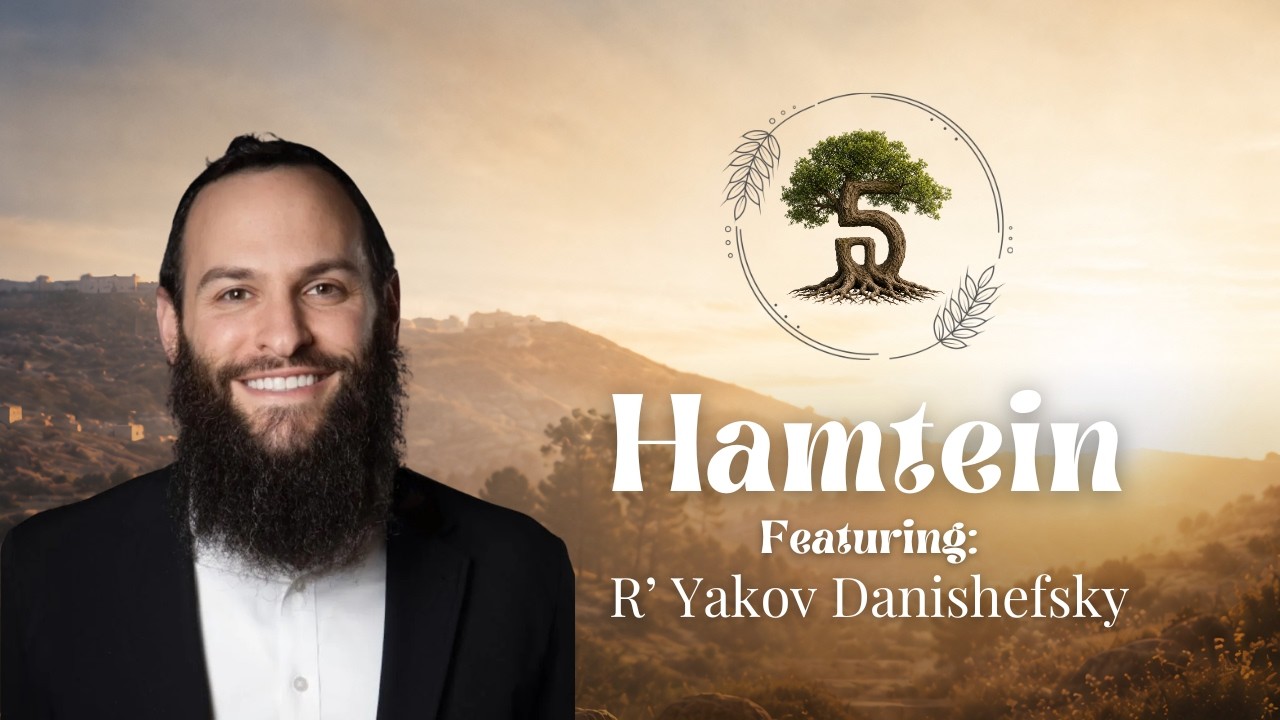 Hamtein - Yaakov Danishefsky