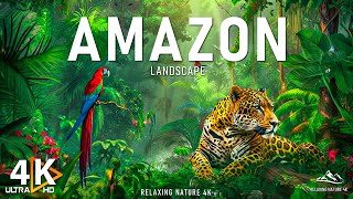 Amazon 4K - Крупнейший В Мире Тропический Тропический Лес | Amazon Rainforest | Релаксационный Фильм