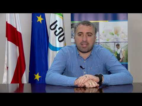 ნიკა მესხის განცხადებით თხილში 15-მდე დაავადება აღმოაჩინეს