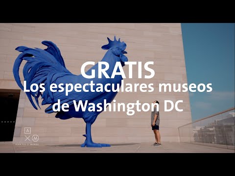 Video: Los 14 mejores museos de Washington, D.C