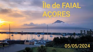 5 mai 2024 île de Faial.les açores