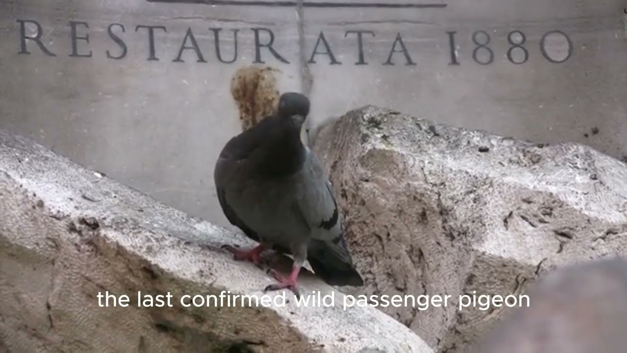 On This Day: May 19 - Key Events That Shaped America