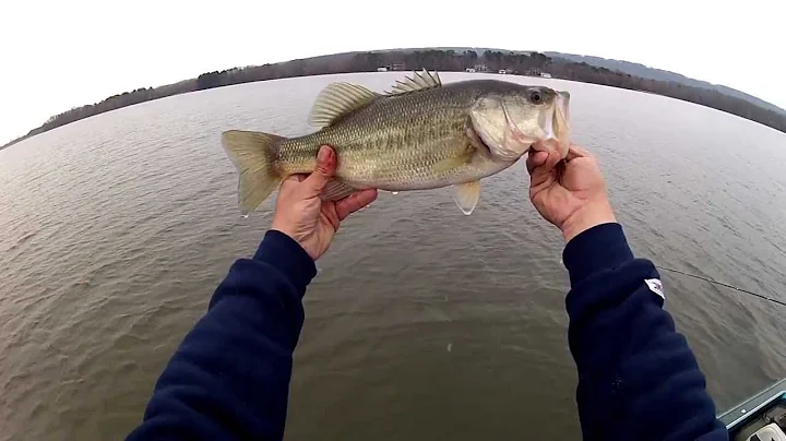 David Heptinstall and Brian Ward -Guntersville par...