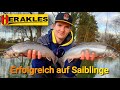 Saiblinge fangen mit Spoon und Gummi - HERAKLES Trout Area Germany