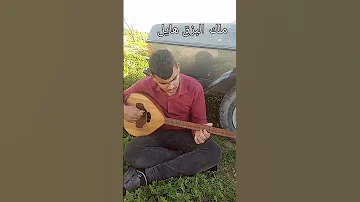 هايل كنج ملك البزق 