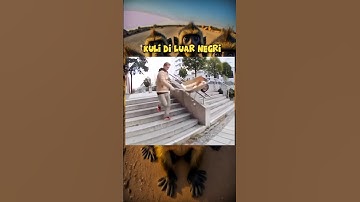agak laen emang #funny #viral #komedi #tiktok