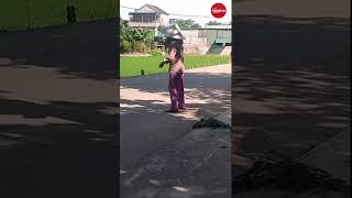 Clip Bà Lão Đòi 5 000 Cho 2 Múi Mít Gây Xôn Xao, Biết Hoàn Cảnh Ai Cũng Xót Xa