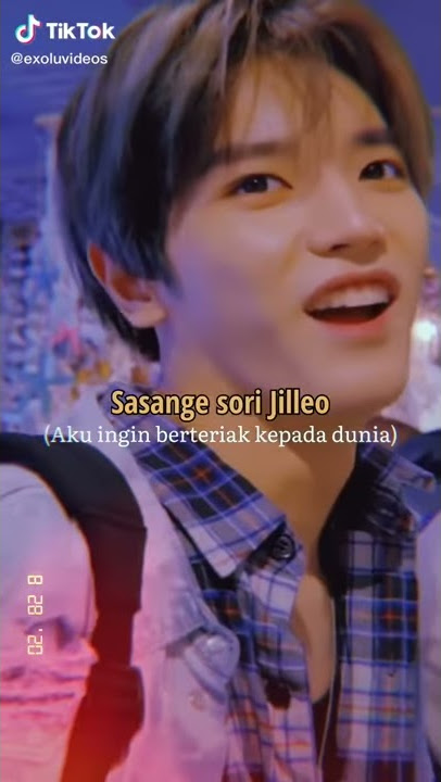 Tik Tok Halu Lee Taeyong NCT