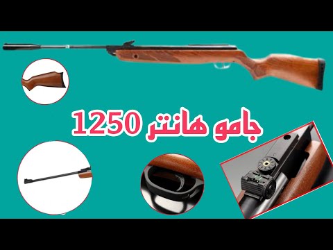 فيديو: بندقية Gamo Hunter 1250: المراجعة والمواصفات والصور