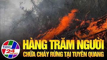 Hàng trăm người chữa cháy rừng tại Tuyên Quang