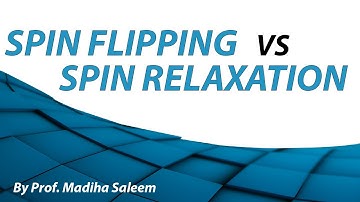 SPIN FLIPPING VS SPIN RELAXATION LECTURE 3 PART 1