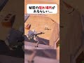 秘密の隠れ場所がヤバすぎる！！ #フォートナイト #fortnite #クリサポはKOKORON