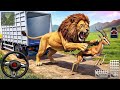 Animal Cargo Truck Driving Game 3D - Animal Transport Cargo Truck 2024 - Android Gameplay