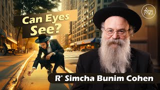 Can Eyes See? | Rabbi Simcha Bunim Cohen