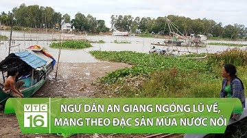 Ngư dân An Giang ngóng lũ về, mang theo đặc sản mùa nước nổi | VTC16