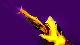 Climate Change Could Make Fish Swim Into Predators’ Waiting Mouths