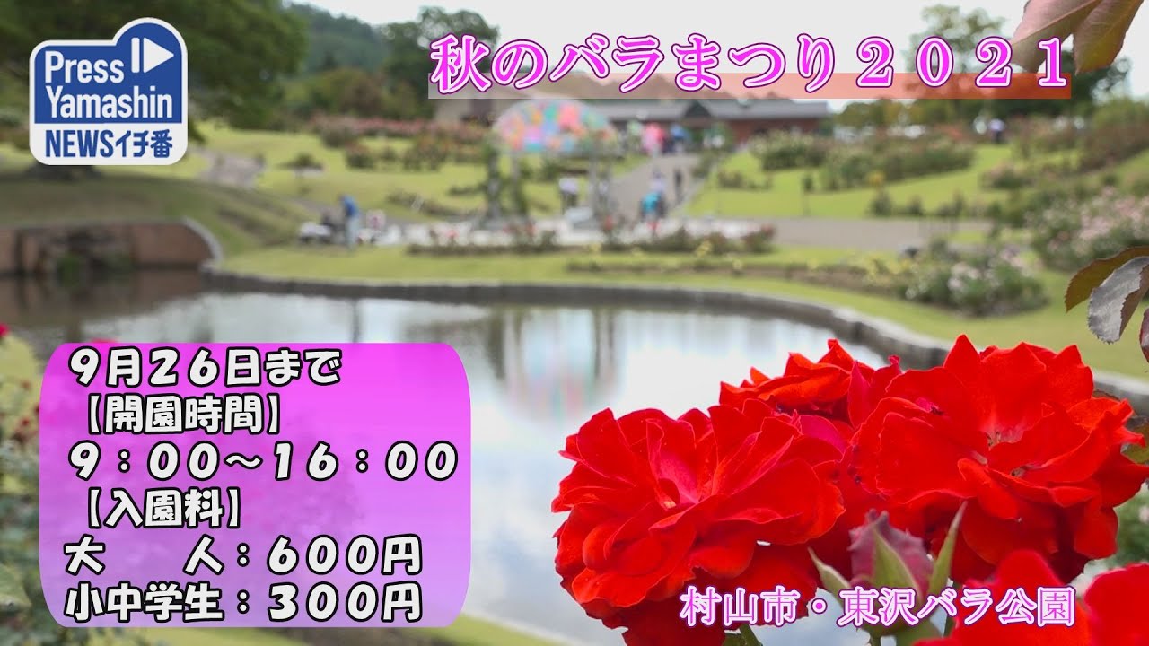 東沢バラ公園 のバラの見ごろやバラまつりとバラ園情報 バラ園案内 バラの見ごろと開花状況