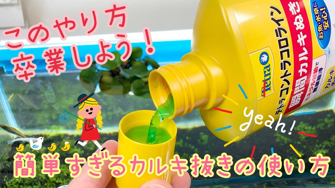 【カルキ抜き】便利すぎる使い方 - YouTube