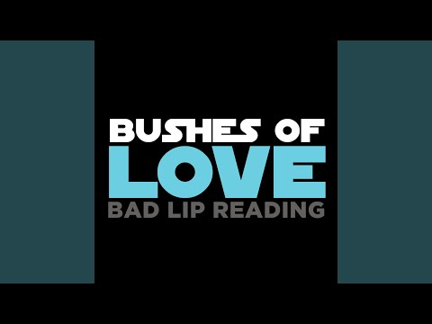 Bushes Of Love Bushes Of Love