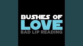 Video thumbnail of "Bad Lip Reading - Bushes of Love"