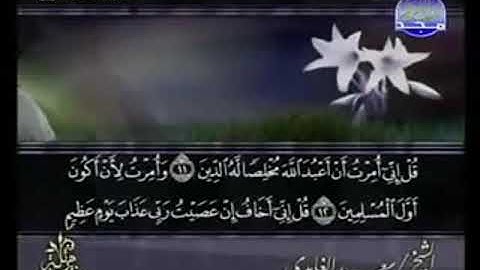 سورة الزمر من الآية 11 الى الآية 31