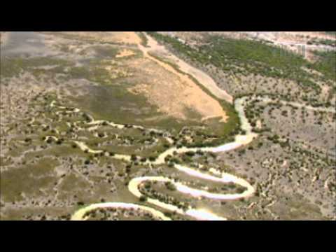 أغنية يا علمنا