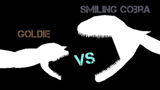 Goldie vs Smiling Cobra[ANIMATION]