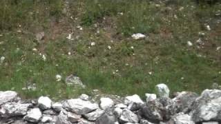 071909 Entrance To Dora Tunnel For Workers