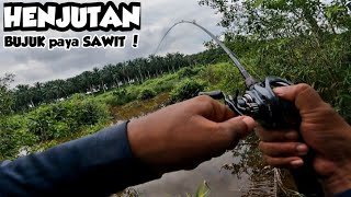 MEMUJUK BUJUK di Ladang Kelapa Sawit !! -#v48